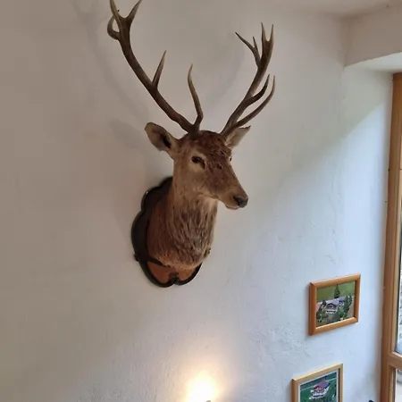 Guest house Terra Neustift im Stubaital