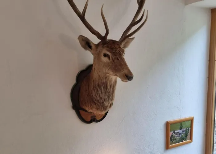 Guest house Terra Neustift im Stubaital